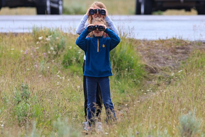 Best of Yellowstone - Guided National Park Safari Tour - Pickup Timing: The Early Start You Can Actually Plan For