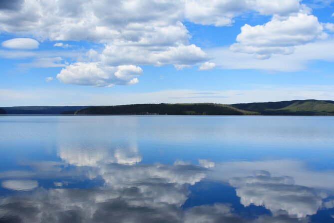 Best of Yellowstone National Park from Gardiner - Private Tour - Price and value: what $725.40 per person buys you