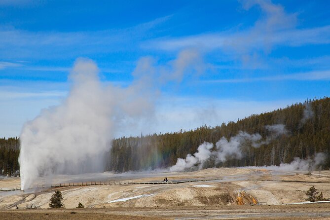 Best of Yellowstone National Park from Gardiner - Private Tour - Mammoth Hot Springs and the Lower Yellowstone River Falls: thermal contrasts