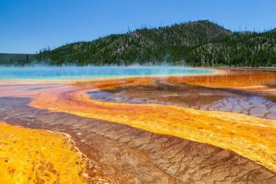 Best of Yellowstone National Park from Gardiner - Private Tour - Yellowstone gate to the Grand Canyon of the Yellowstone (plus Artist Point)