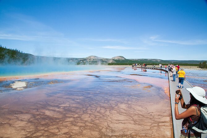 Best of Yellowstone National Park from Gardiner - Private Tour - Grand Loop Road routing and Old Faithful timing