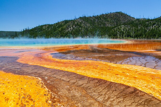 Best of Yellowstone National Park from Gardiner - Private Tour - Yellowstone gate to the Grand Canyon of the Yellowstone (plus Artist Point)