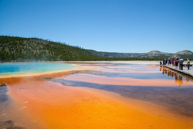 Best of Yellowstone Private National Park Safari Tour - Price Breakdown: Why $597.50 Can Still Be Good Value