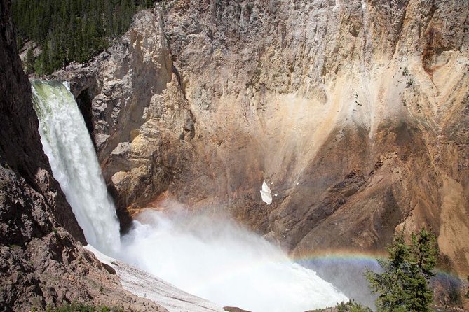 Best of Yellowstone Private National Park Safari Tour - 6:30am Pickup and an Efficient Route Around the Park