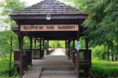 Bialowieza National Park Small Group Tour from Warsaw with Lunch included - The strict protection reserve walk: where the magic is (and where you’ll earn your comfort)