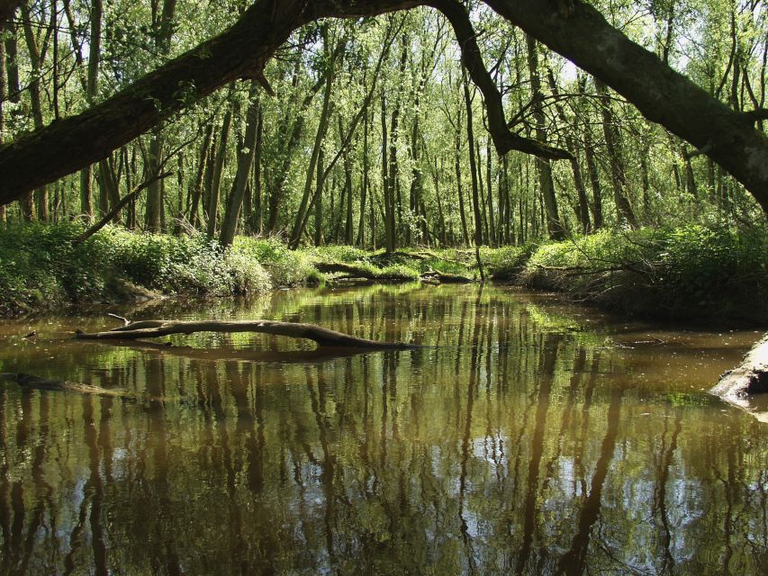 Biesbosch: Boat Cruise through National Park - Biesbosch by Boat: Why Drimmelen Is a Smart Starting Point