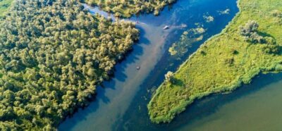 Biesbosch: Boat Cruise through National Park - De Zilvermeeuw: Comfort, Views, and What’s Actually Onboard