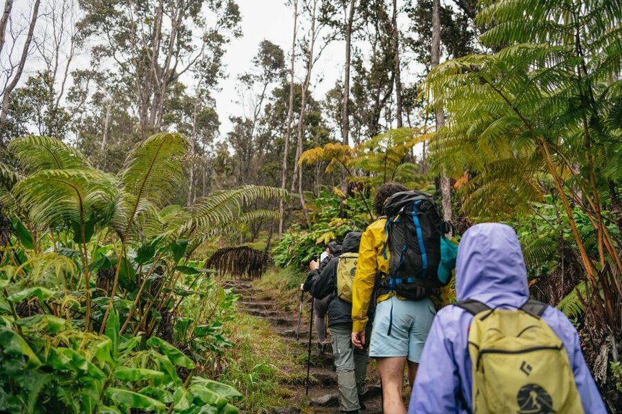 Big Island: Hawai'i Volcanoes National Park Guided Hike - Key highlights to watch for on this hike