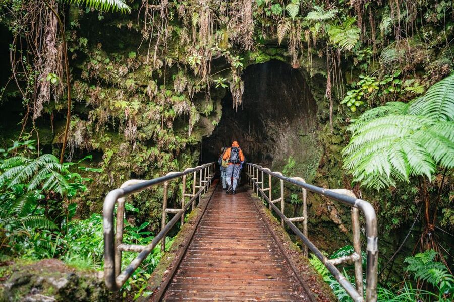 Big Island: Hawai'i Volcanoes National Park Guided Hike - Steam vents to caldera walls: learning the geology with your feet