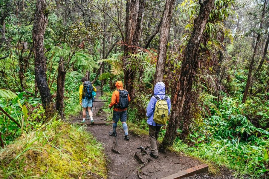 Big Island: Hawai'i Volcanoes National Park Guided Hike - Picnic timing and pacing: good food, but plan for a long day