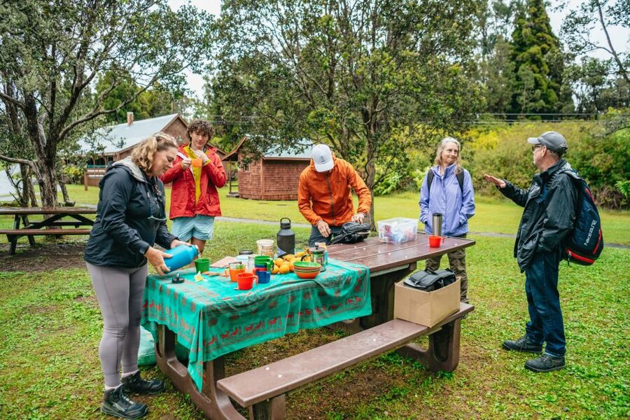 Big Island: Hawai'i Volcanoes National Park Guided Hike - Practical tips for a rain-or-shine volcano day