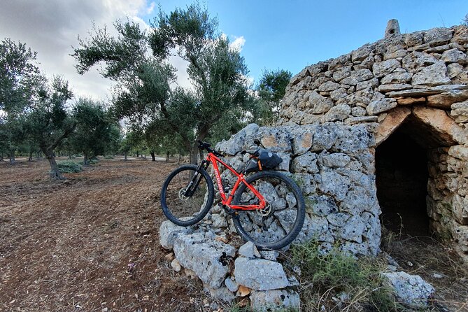 Bike Tour in the Alta Murgia National Park (Pulo of Altamura) - Price and value: why $90.02 can be a smart deal in Puglia