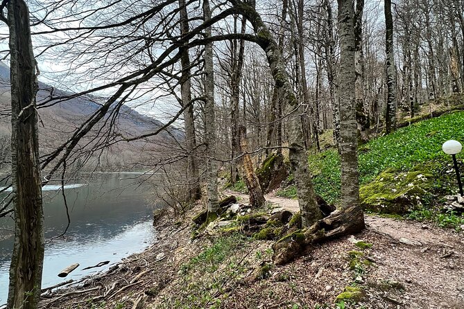 Biogradska Gora National Park Tour with Optional Add-Ons - Moraca Monastery stop: a calm reset with frescoes and green surroundings