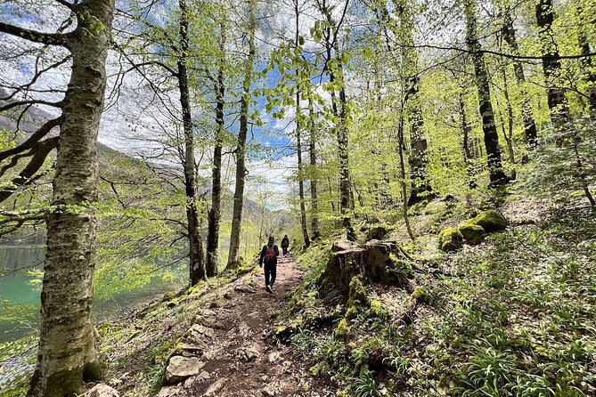 Biogradska Gora National Park Tour with Optional Add-Ons - Transportation, pacing, and the private-group advantage