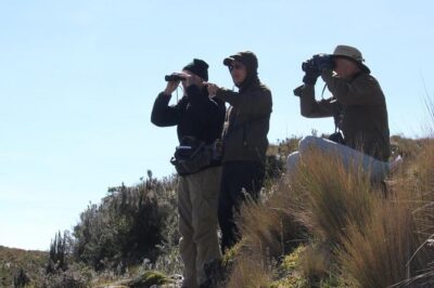 Birdwatching Tour in Cajas National Park from Cuenca - Entering Cajas National Park’s Habitat Zones (Why This Route Works)