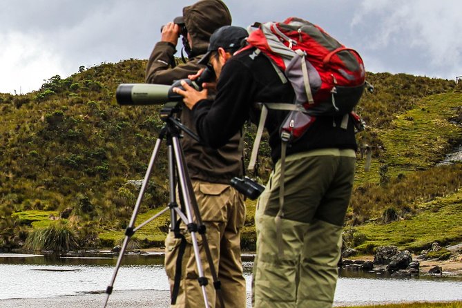 Birdwatching Tour in Cajas National Park from Cuenca - Lunch and the Shift to Llaviuco Valley at 3,200 m (10,500 ft)