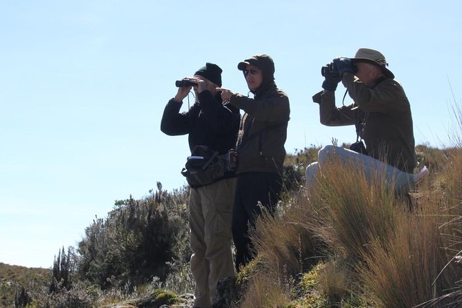 Birdwatching Tour in Cajas National Park from Cuenca - Entering Cajas National Park’s Habitat Zones (Why This Route Works)