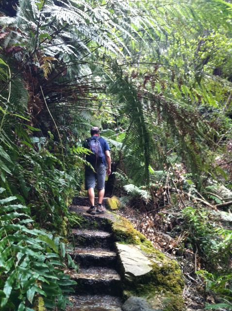 Blue Mountains: Inside a World Heritage National Park - Getting Back to Sydney: Efficient Timing, Still a Full Day