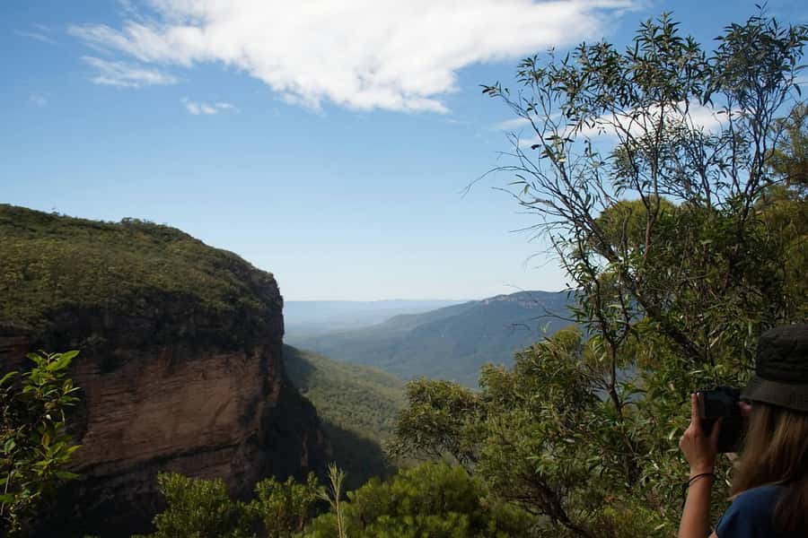 Blue Mountains: Inside a World Heritage National Park - Why This Blue Mountains Day Feels Different Than a Typical Bus Tour
