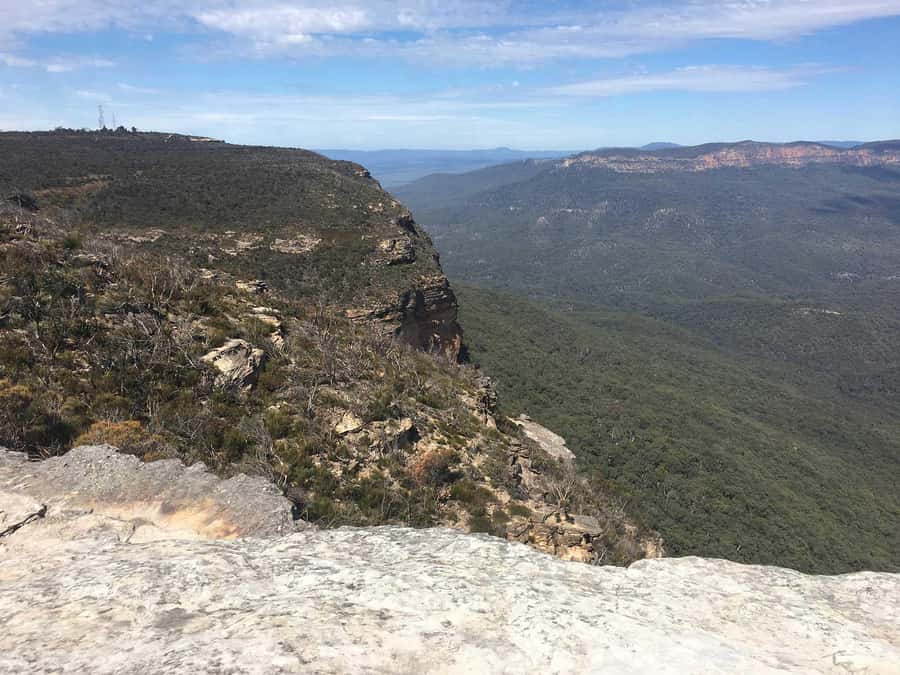 Blue Mountains: Inside a World Heritage National Park - Morning Drive and the Wentworth Falls Start: When the Scenery Hits Fast