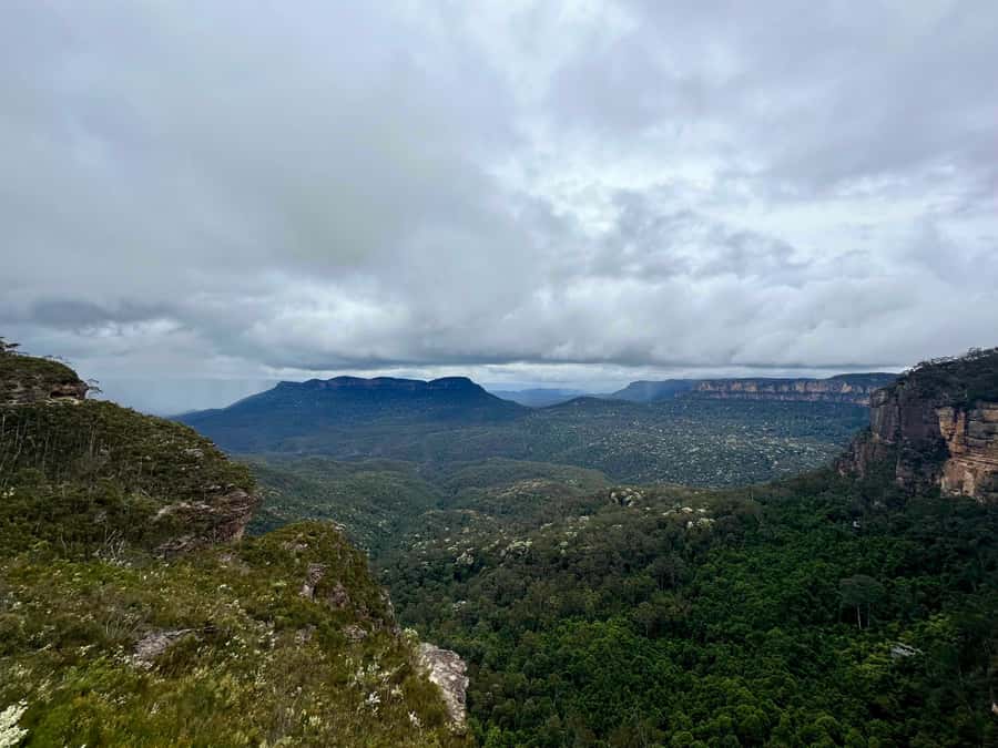Blue Mountains: Inside a World Heritage National Park - Govetts Leap to Evans Lookout: The Optional Clifftop Challenge