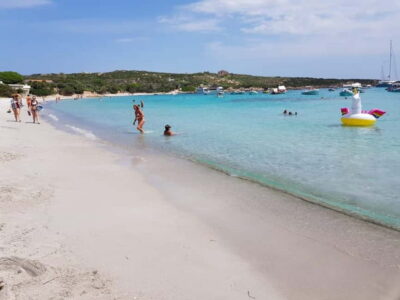 Boat Tour in La Maddalena National Park - Getting from Palau to the boat: where to meet and how the day starts