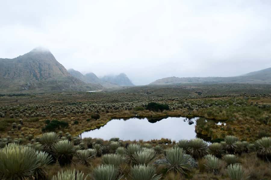 Bogotá: Sumapaz National Park Hike Tour - Key highlights to know before you go