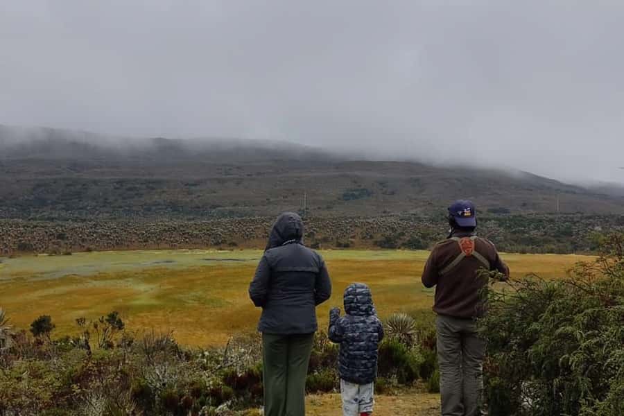 Bogotá: Sumapaz National Park Hike Tour - What the hike is like on the ground: muddy trails and quick-changing weather