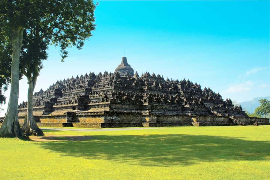 Borobudur Temple, Waterfall & Kalibiru National Park Trip - Kalibiru National Park at 450 Meters: Views, Photos, and That Steep Road