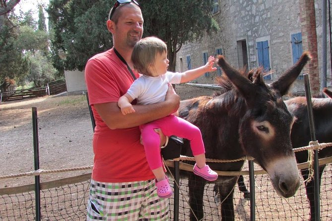 Brijuni National Park Boat Excursion from Pula. With a visit to the island - Brijuni from Pula: boat views plus Tito’s animal-world story
