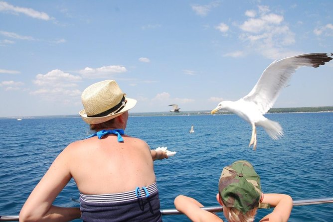 Brijuni National Park Boat Excursion from Pula. With a visit to the island - How long is the day, and how to pace your expectations