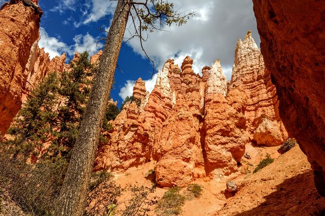 Bryce Canyon Hiking Challenge - Snacks, Water, and the AC Ride: Small Comforts That Help
