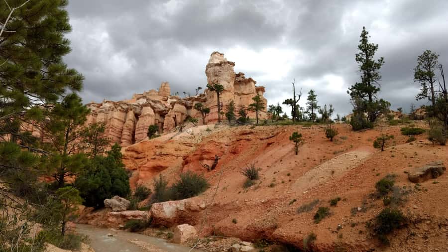 Bryce Canyon National Park Hiking Experience - Key highlights I’d plan around