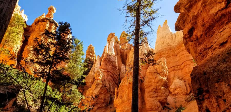 Bryce Canyon National Park Hiking Experience - Meeting outside the park: plan your first 10 minutes