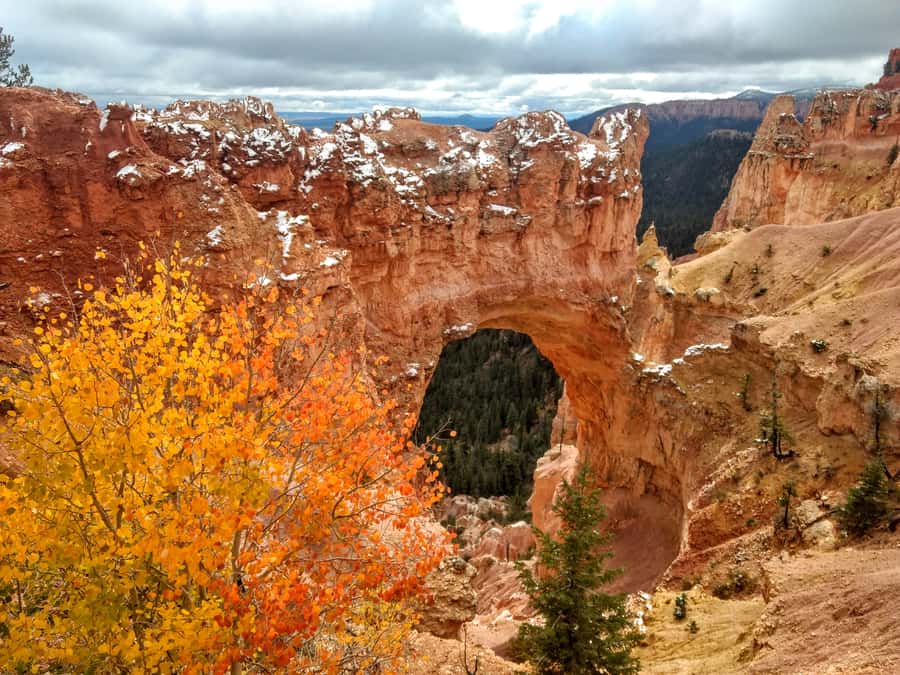 Bryce Canyon National Park Hiking Experience - Hoodoo-filled slot canyons: walking where you usually only look