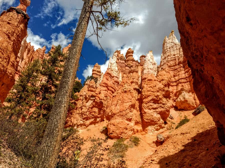Bryce Canyon National Park Hiking Experience - Price and value: what $120 gets you (and what it doesn’t)