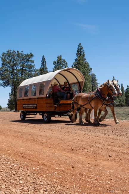 Bryce Canyon National Park: Scenic Wagon Ride to the Rim - Key Highlights to Know Before You Go