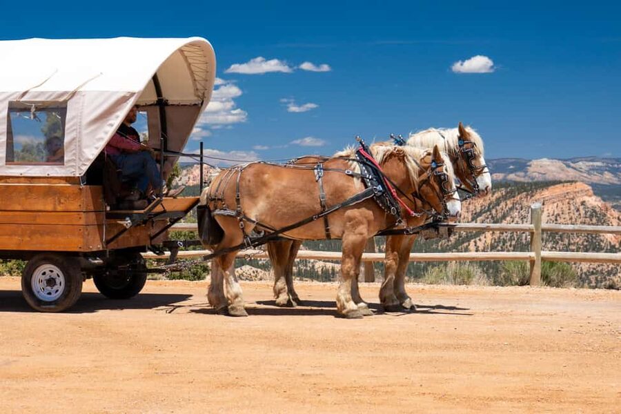 Bryce Canyon National Park: Scenic Wagon Ride to the Rim - Tropic Ditch Waterfalls and the Seasonal Scenery Bonus