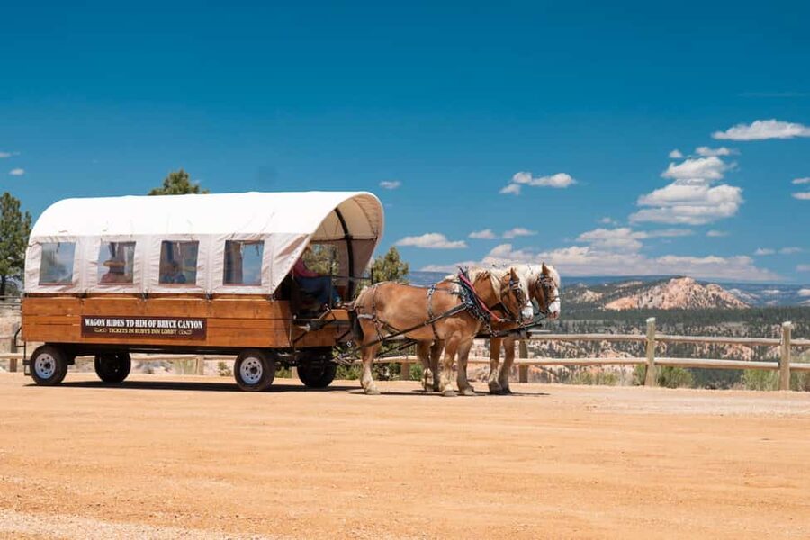 Bryce Canyon National Park: Scenic Wagon Ride to the Rim - What to Wear: Warm Clothes Are Not Optional