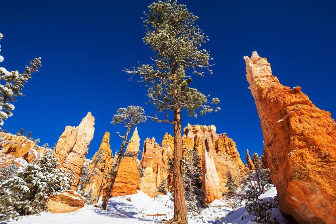 Bryce Canyon National Park Self-Guided Driving Audio Tour - Stop-by-stop: your audio guide through Bryce’s best angles