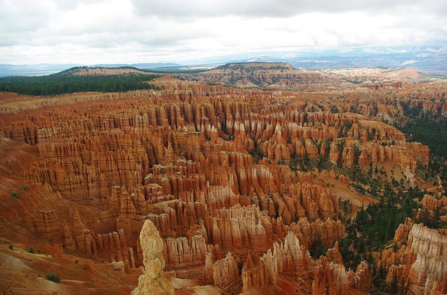 Bryce: Guided Sightseeing Tour of Bryce Canyon National Park - Who This Tour Fits Best