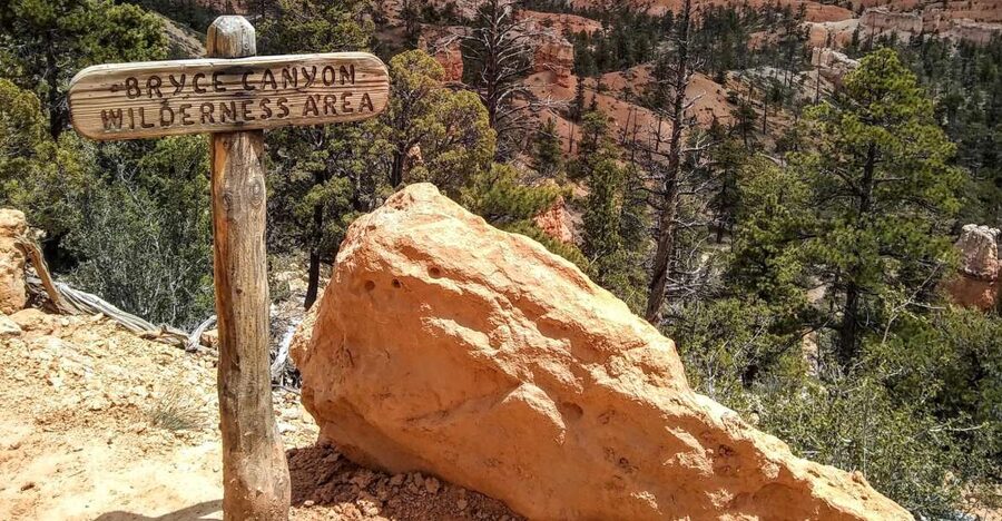 Bryce: Guided Sightseeing Tour of Bryce Canyon National Park - Entering Bryce Canyon the Easy Way: Fairyland Canyon First