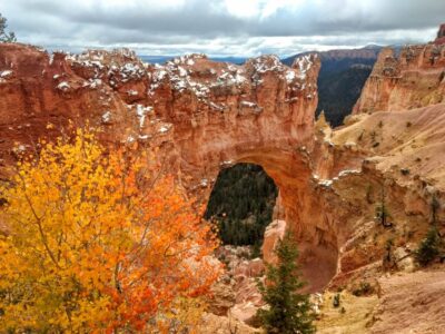 Bryce: Guided Sightseeing Tour of Bryce Canyon National Park - Natural Bridge and the North Rim View: Why the Middle Stops Matter