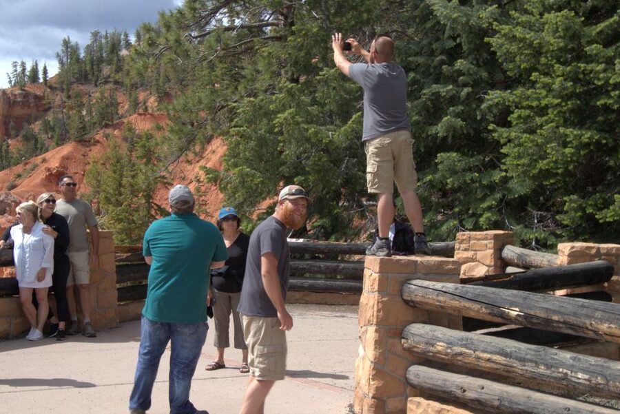 Bryce: Guided Sightseeing Tour of Bryce Canyon National Park - What the Local Guide Adds (and Why It Changes the Trip)