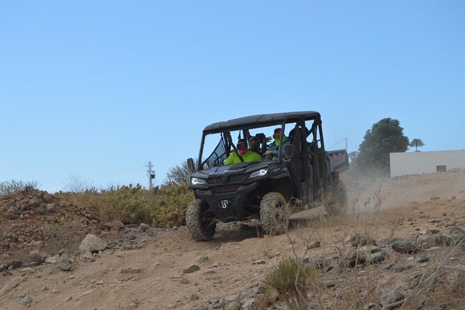 Buggy or Quad Tour Volcano Teide in Teide National Park - Who should book this Buggy/Quad tour of Teide