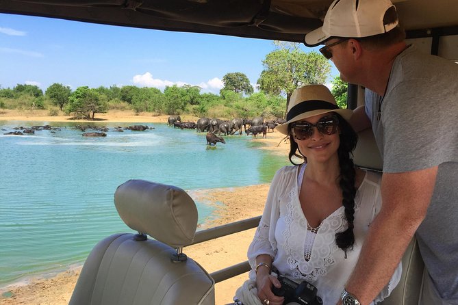 Bundala National Park Safari - Key safari takeaways before you go