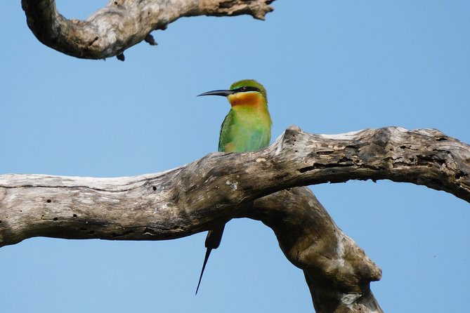 Bundala National Park Safari (PRIVATE TOURS)- Morning & Afternoon - Price and value: what $40 really means, plus the entrance fee catch