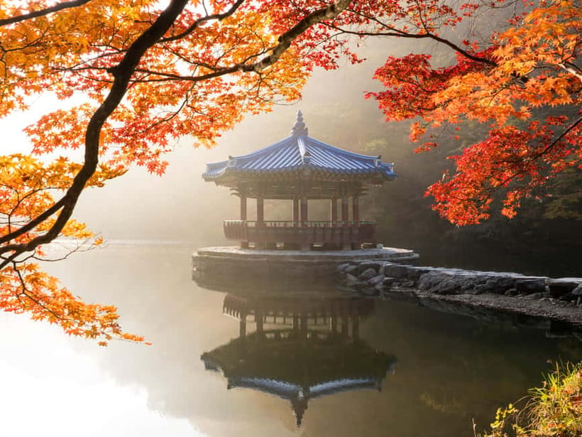 Busan: Naejangsan National Park Autumn Foliage One Day Tour - Quick Takeaways Before You Go