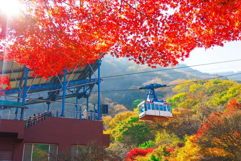 Busan: Naejangsan National Park Autumn Foliage One Day Tour - Panoramic Views on the Walking Paths