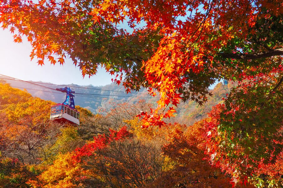 Busan: Naejangsan National Park Autumn Foliage One Day Tour - Heading Back to Busan: The 15:30 Departure Zone